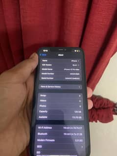 iPhone 12 Pro Max Factory Unlock