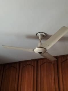 selling fans for sale