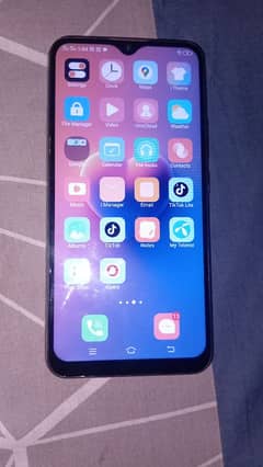Vivo