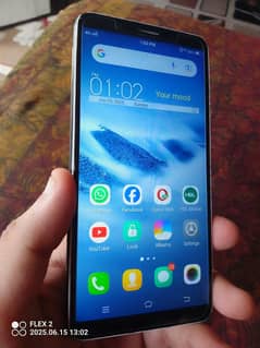 Vivo