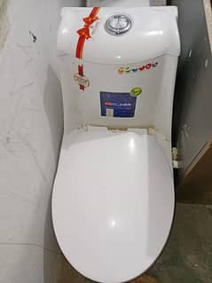 commode seats and basin
