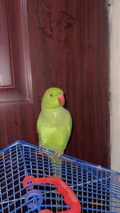 Female