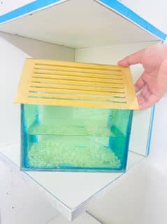 "Stylish Glass Aquarium – Gently Used, Great for Kids!"