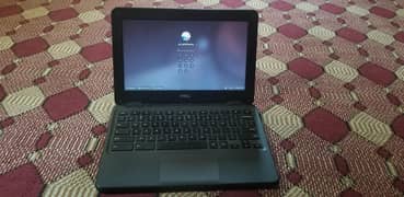 dell chromebook  3100