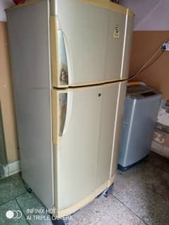 Pel Refrigerator for sell