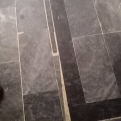 House Cleaning