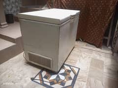 single door deep freezer  (waves) urgent sale