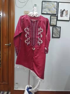 embroidered small kurti