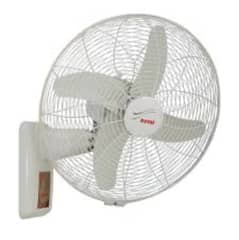 Fans