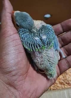 Selling