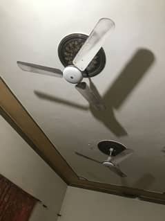 Ceiling