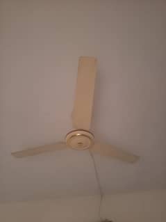 3* celling fans