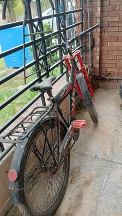 cycle