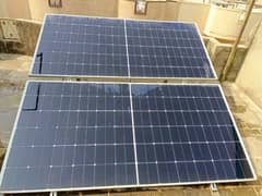 Longi Himo 6 575 watt 15000 each price