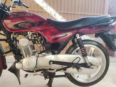 suzuki bike/ bike/ motor cycle/ suzuki gd 110s /