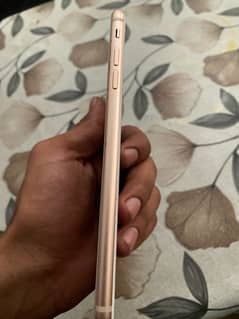 iphone 8 plus 256 gb Pta approved