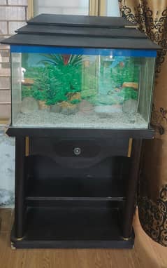 Fresh 3 feet Stand A1 Condition