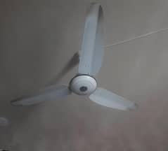 fan