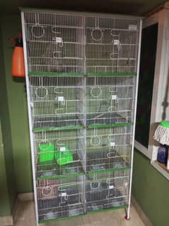 Birds Cage