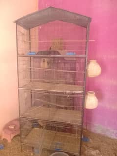 birds cage