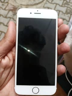 iphone 6