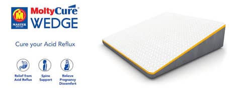 Molty foam wedge pillow for sale.