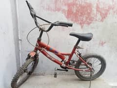 medium cycle