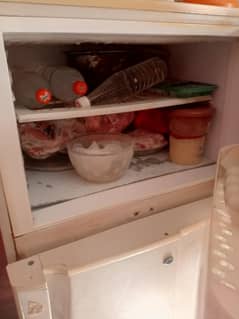 PEL Fridge