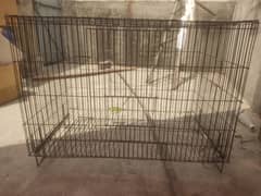 love bird Raw Parrot 4 foot length cage