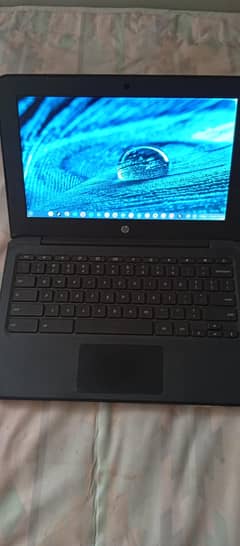 HP
