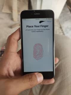iphone 6