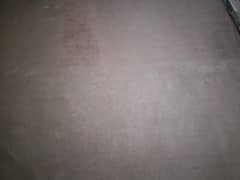 Carpet