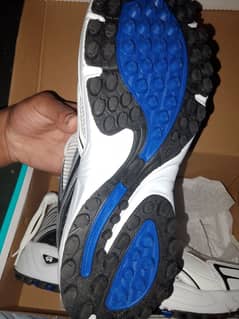 CA cricket shoes