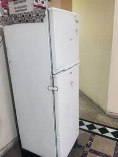 Venus International Refrigerator