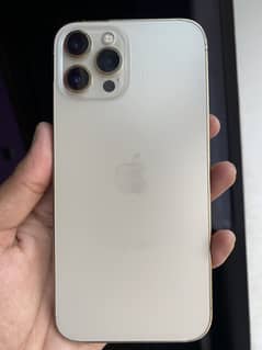 Iphone 12 pro max Golden Non pta