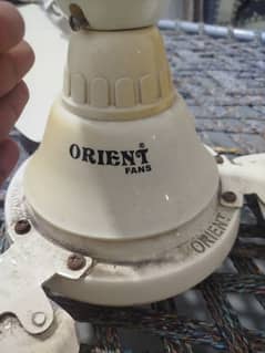 Orient
