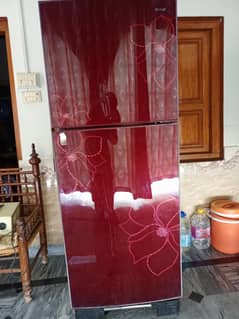 Fridge orient