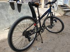 Imported Bicycle