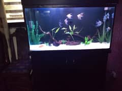 Aquarium
