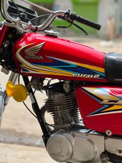 Honda 125 2019