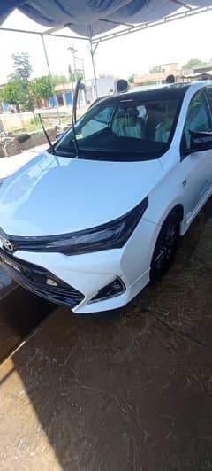 Altis Grande