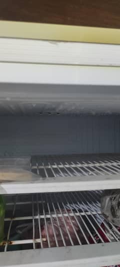 pel refrigerator