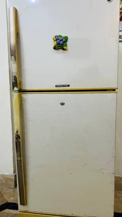 Pel Medium Size Fridge