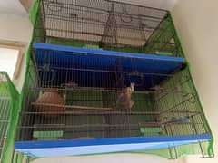 small setup orange finche pair cages singal and 4 portion available
