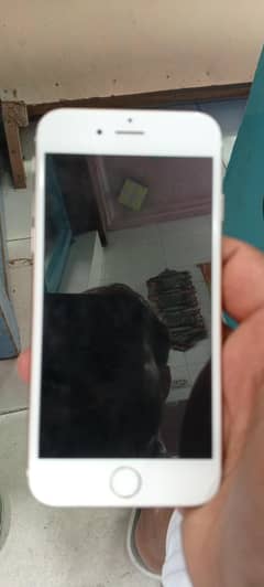 iphone 6