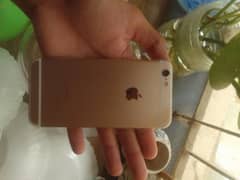 iphone 6