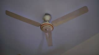 copper 2 fans