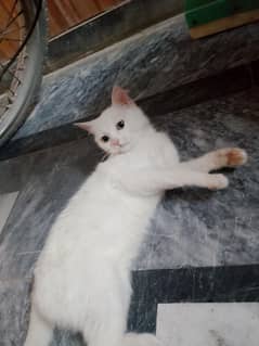 parishn