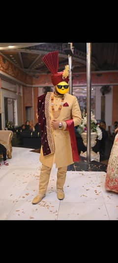 sherwani for sale