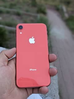 IPHONE XR 64GB JV